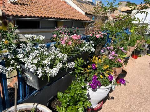 Loft Apartment , La Terrasse Centre Ville D'Arles, מראה חיצוני תמונה